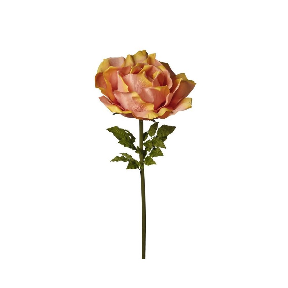 RAMO ROSA CM170 PESCA